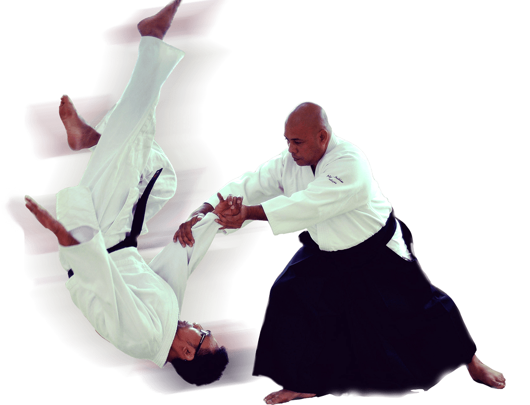 aikido7